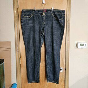 Torrid Jeans 26 Jeweled Buttons Blue Brown